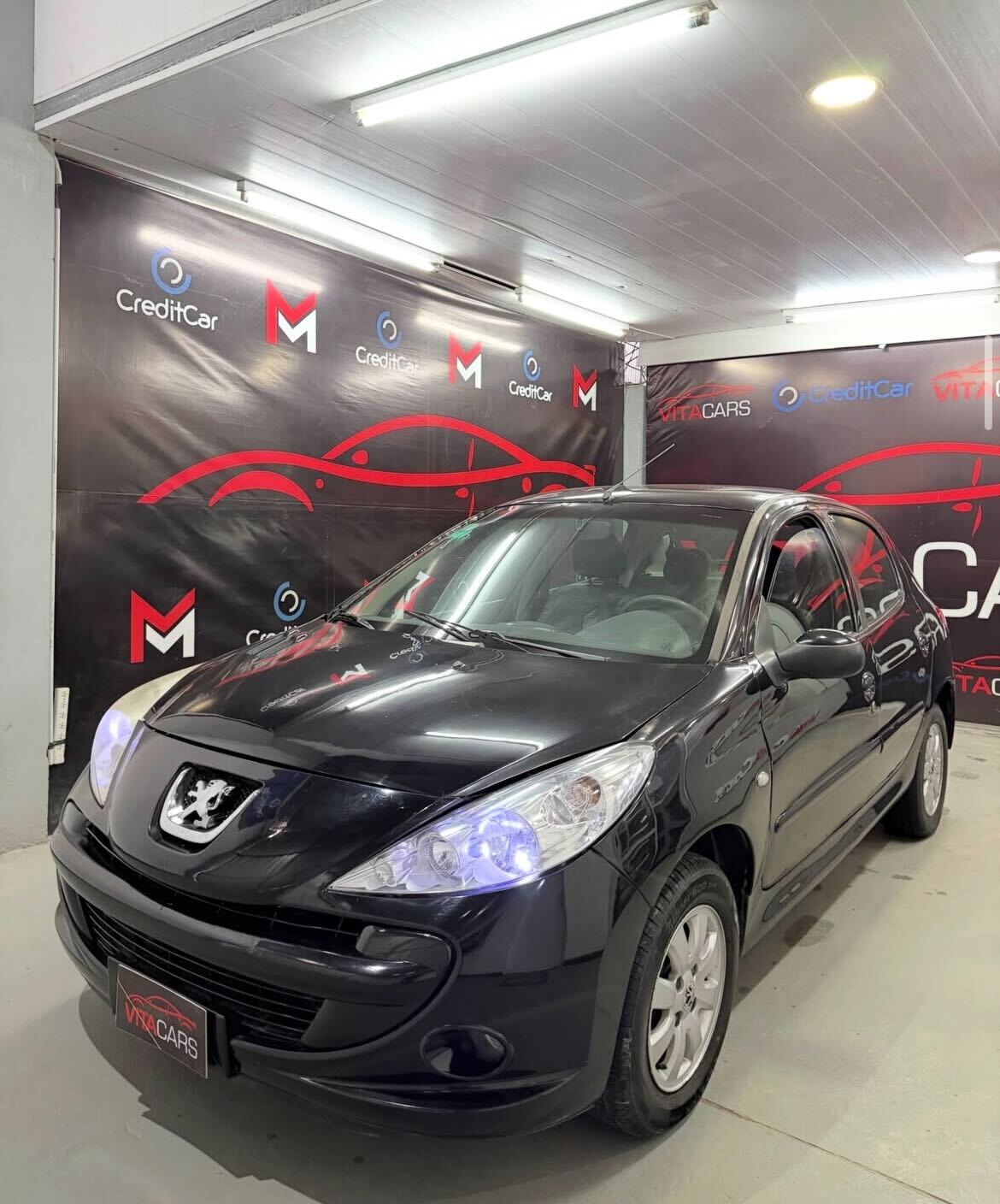Peugeot 207 DS 2010